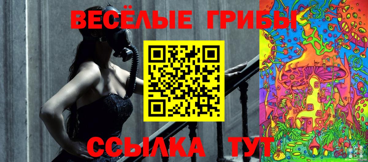 Псилоцибиновые грибы Cubensis Борзя