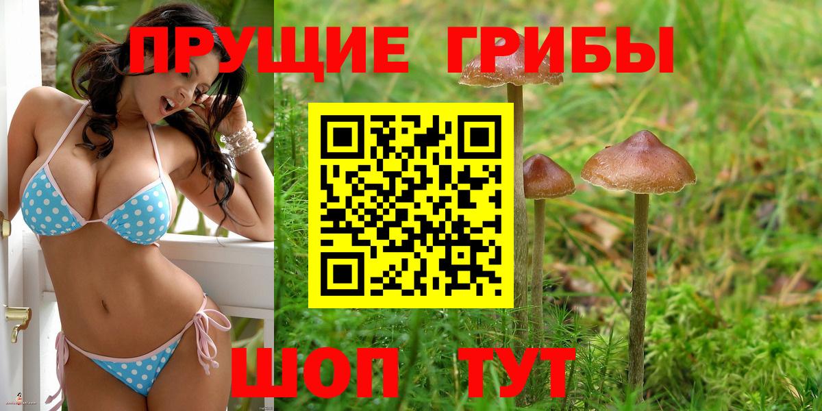 Борзя  Псилоцибиновые грибы Psilocybe  Вход с VPN 