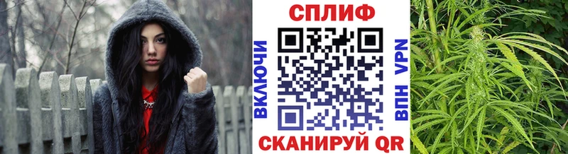 Шишки марихуана семена  Борзя 
